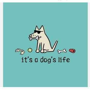 Teddy The Dog - It’s a dogs life - V neck curvy T Shirt